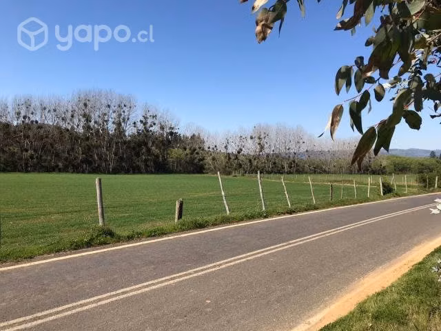 Parcela 5000 mt2 Curepto sector Paraguay
