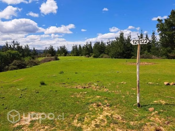 Parcela 5000 mt2 Curepto sector Paraguay - Imagen 5