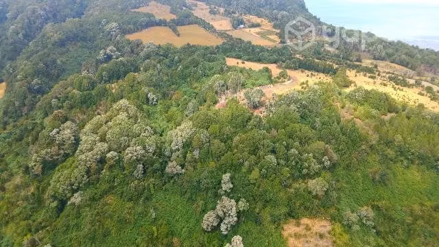 Hermoso campo vista 180° al mar ,sector mechuque
