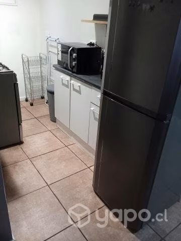 Arriendo papudo temporada de verano y festivos