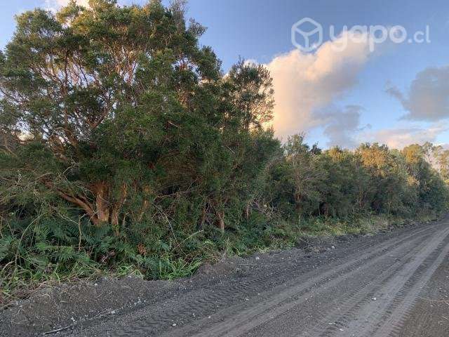 Parcela 5.091 m2 - Entrada Isla Grande de Chiloé - Imagen 7