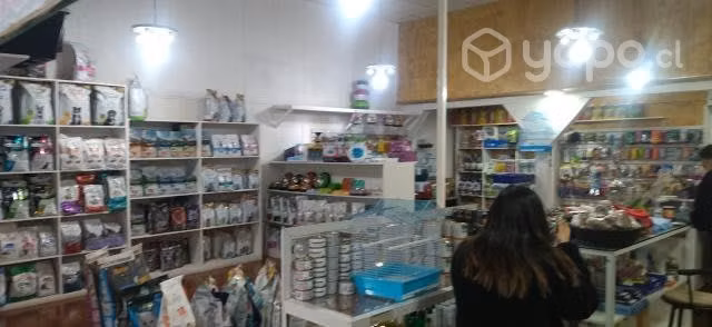 Local comercial pleno centro Quilpué, Chile