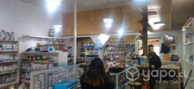 Local comercial pleno centro Quilpué, Chile