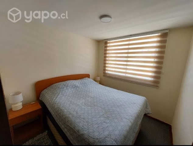 Arriendo Excelente Departamento Año corrido