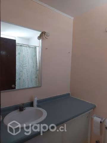 Arriendo Excelente Departamento Año corrido