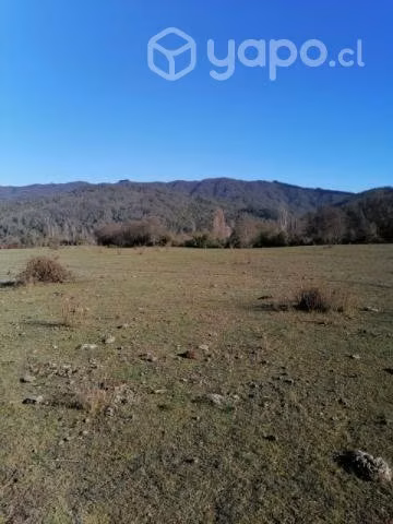 Vendo terreno de 5000 mts - Imagen 3