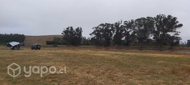 Venta de Terreno 5000m2 en El Convento, Santo Domingo, 5ta Región - Imagen 4