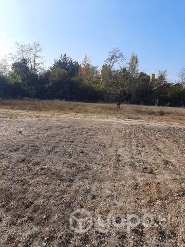 Terreno - Paine la Trilla - Imagen 3