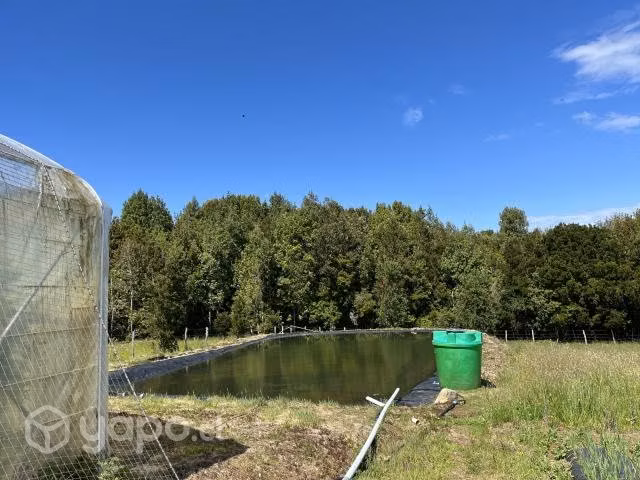Vendo hermoso campo