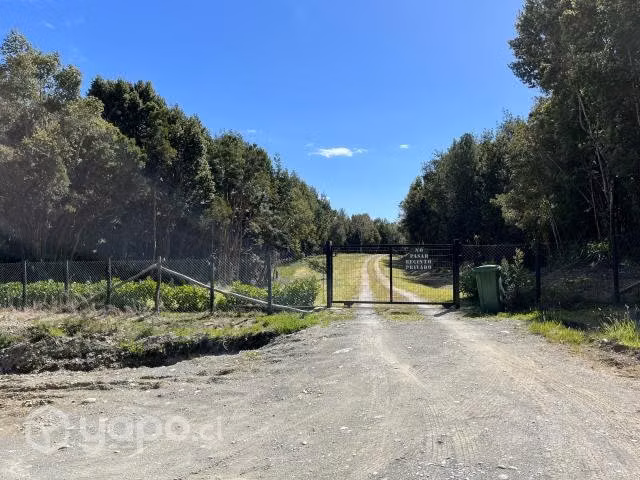 Vendo hermoso campo