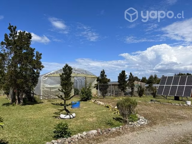 Vendo hermoso campo