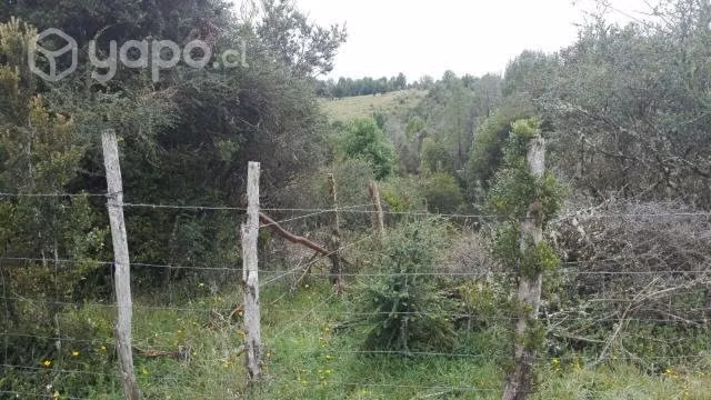 Vendo Campo en Chiloé