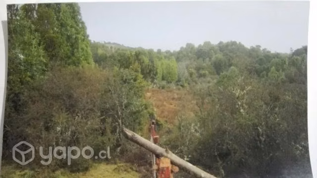Vendo Campo en Chiloé