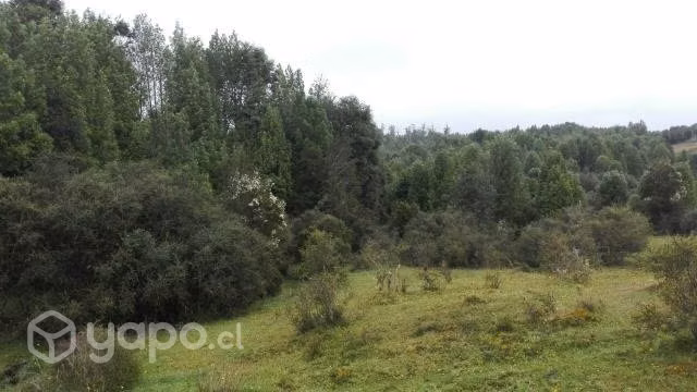 Vendo Campo en Chiloé