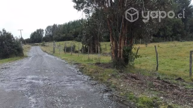 Vendo Campo en Chiloé