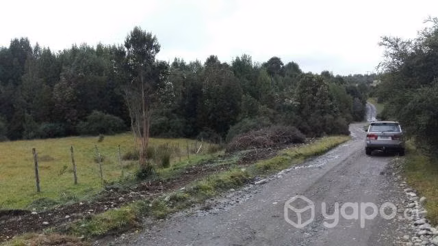 Vendo Campo en Chiloé