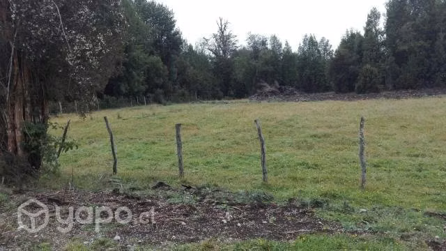 Vendo Campo en Chiloé