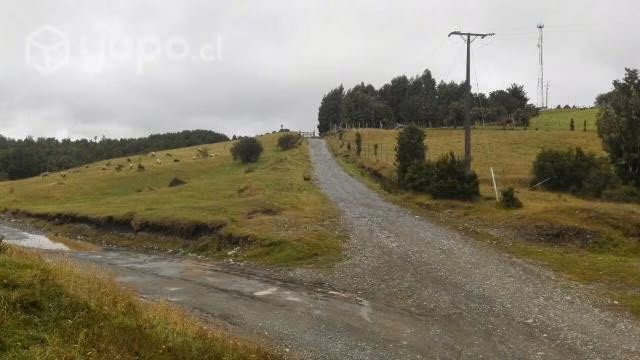 Vendo Campo en Chiloé
