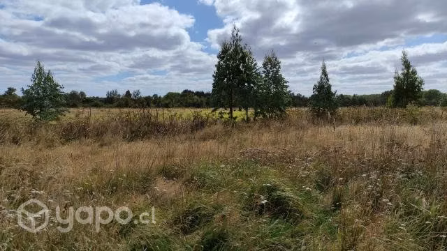 Vendo parcela en Frutillar