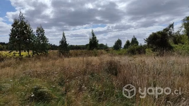 Vendo parcela en Frutillar