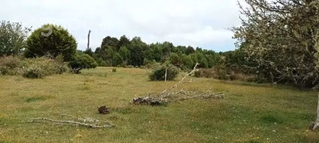 Parcela en Chaquihual Ancud