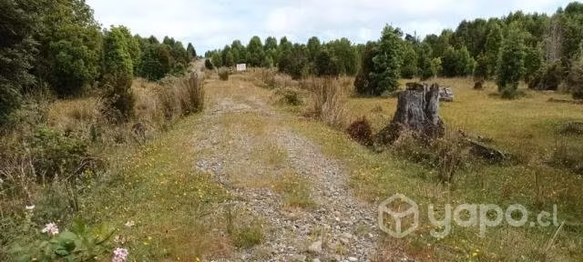Parcela en Chaquihual Ancud
