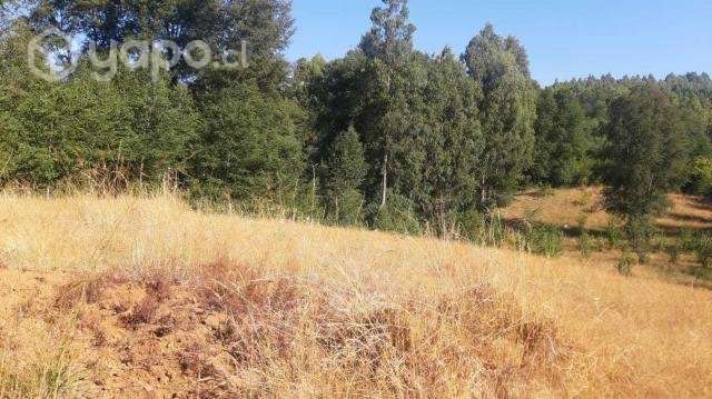 Terreno en Antuco