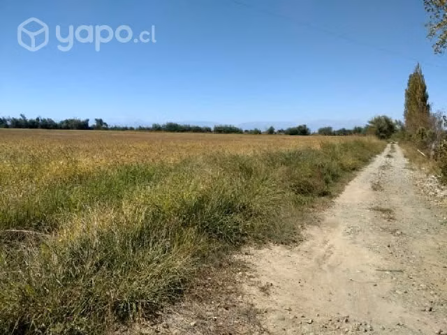 Parcela HUIMEO LONGAVÍ