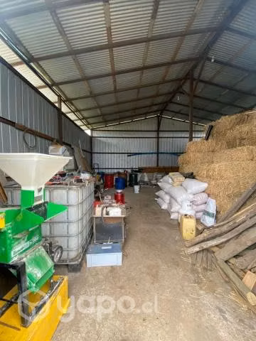 Terreno con casa y galpon en teno oportunidad - Imagen 4