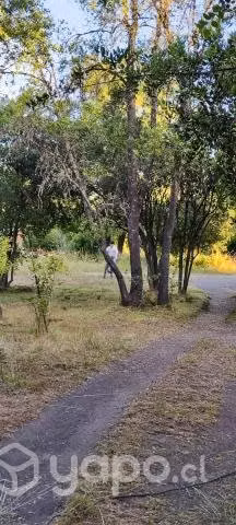 Arriendo Casa Mitrinhue