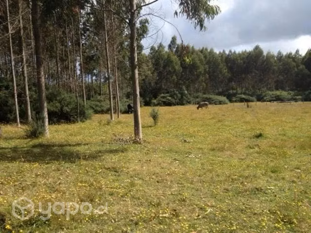 Venta de Terreno 8 Hectareas