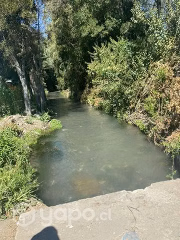 4 hectáreas agrícolas - Imagen 4