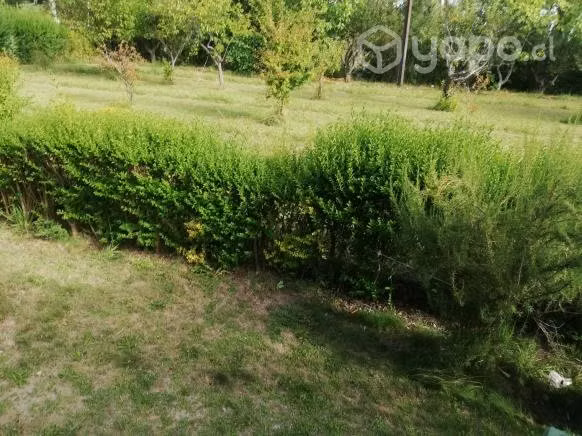Terrenos Exclusivos entreSan Carlos / Chillan a 3