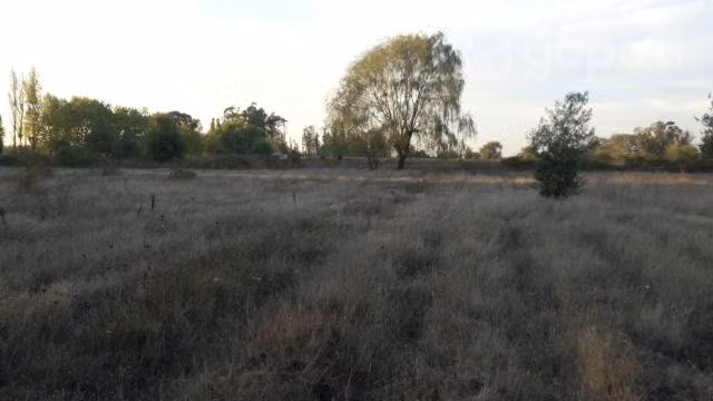 Terrenos Exclusivos entreSan Carlos / Chillan a 3
