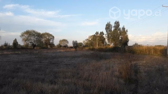 Terrenos Exclusivos entreSan Carlos / Chillan a 3