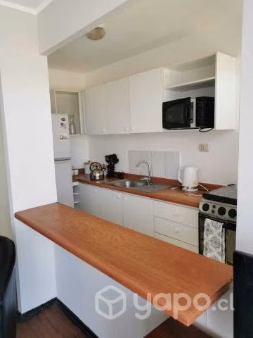 Arriendo Departamento Amoblado