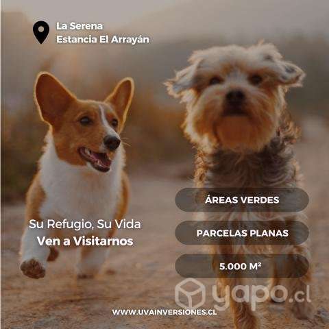 Estancia El Arrayán: ¡Tu Sueño hecho Realidad - Imagen 4