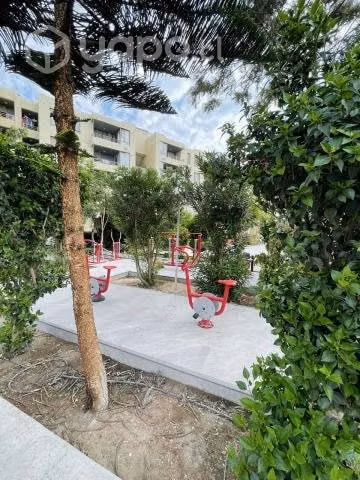 Arriendo Departamento Condominio Doña Agustina - Imagen 15
