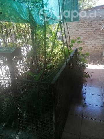 Casa 1 piso en pasaje rauli - Renca - Imagen 6