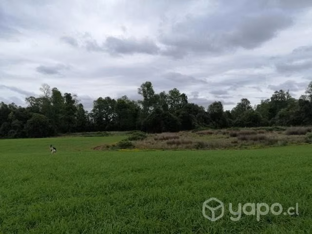 Se vende campo