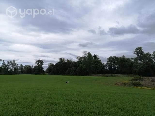 Se vende campo