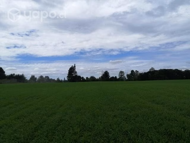 Se vende campo