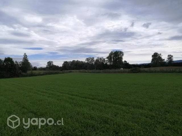 Se vende campo