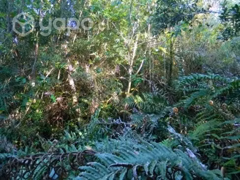 Terreno en Puerto Montt