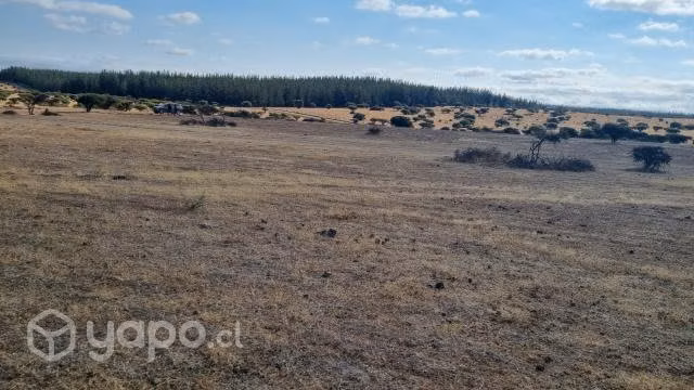 Terreno 5.000 metros2 Santa Inés de Mallermo
