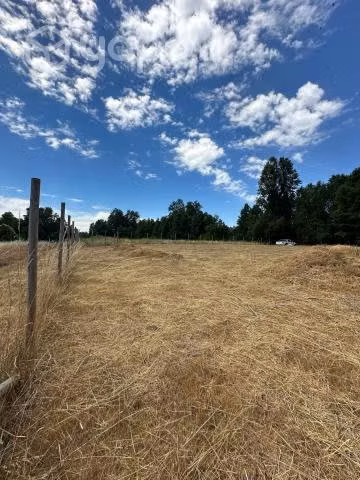 Vendo terreno de 5.000 M2 a 20 min de Villarrica