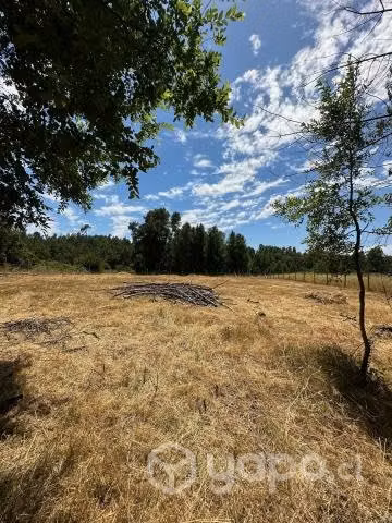 Vendo terreno de 5.000 M2 a 20 min de Villarrica