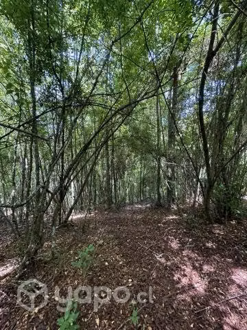 Vendo terreno de 5.000 M2 a 20 min de Villarrica