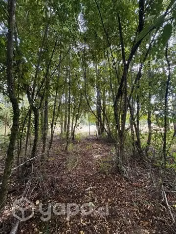 Vendo terreno de 5.000 M2 a 20 min de Villarrica