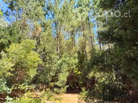 Venta de parcela